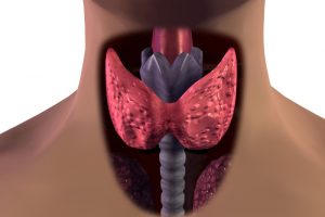 Увеличение щитовидной железы под воздействием табака
