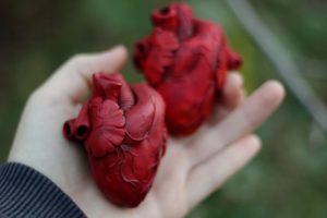 Развитие врожденных аномалий сердца под действием никотина