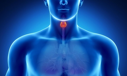 Воздействие дыма на работу щитовидной железы