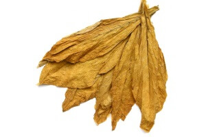 Сушеные табачные листья
